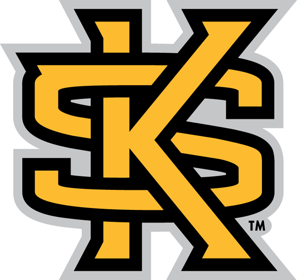 Kennesaw State Owls 2012-Pres Secondary Logo t shirts DIY iron ons
